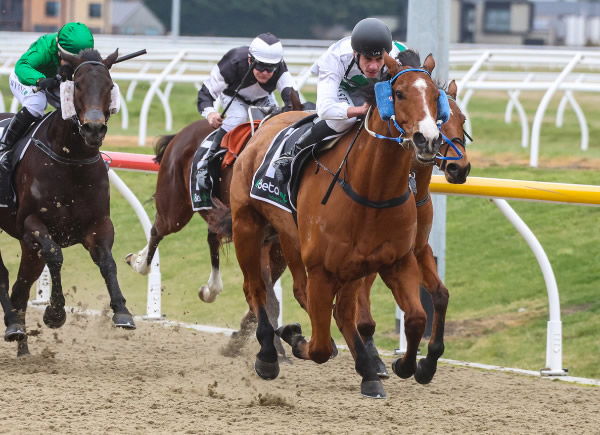 Doubtful Sound winning on the Riccarton Synthetic on Friday.  Photo: Race Images South