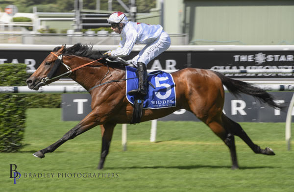 Doubtland wins the G3 Kindergarten Stakes in a breeze - image Bradley Photography