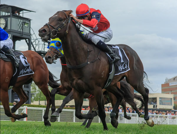 $1.2million Inglis Easter purchase Doull wins G2 Caulfield Sprint - image Grant Courtney