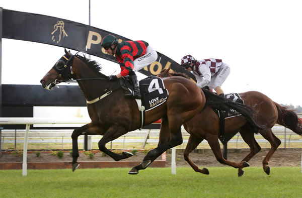 Dragon Leap winning at Pukekohe on Saturday. Photo: Trish Dunell