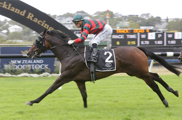 Dragon Leap will contest the Gr.1 Tarzino Trophy (1400m) at Hastings on Saturday. Photo: Trish Dunell