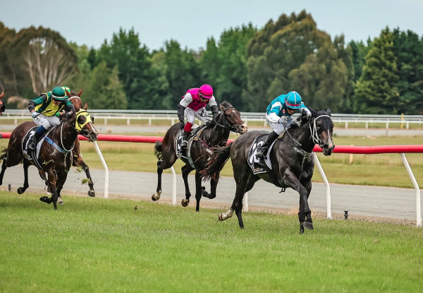Listed NZB Airfreight Stakes (1400m) winner Drakiana striding to a commanding maiden win last December.  Photo: Monica Toretto