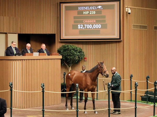 Dreamloper sold for $2.7million