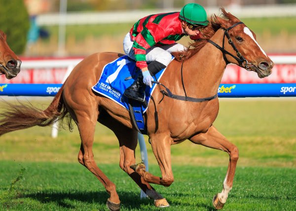 Zousain filly Drifting wins the G3 Quezette - image Grant Courtney 