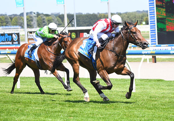 Drop the Verse wins at Ballarat - image Pat Scala / Racing Photos