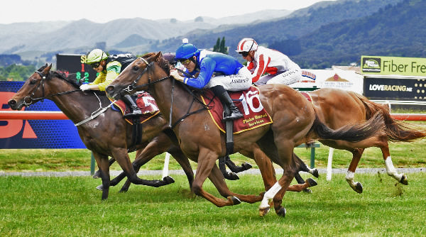 Dua Dance (outside) winning the Shackerell Electrical (1150m) at Te Aroha on Sunday.   Photo: Kenton Wright (Race Images) 