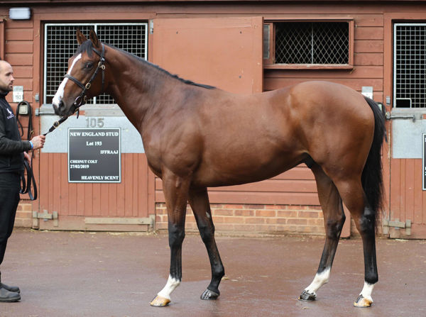 Dubai Poet a 140,000gns Tattersalls October yearling