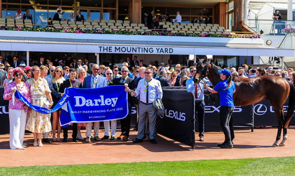 Dublin Down owners celebrate the start of Cup Day - image Grant Courtney
