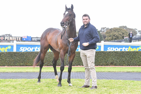 Duke Atreides Was Purchased For $575,000 From The Draft Of Baramul Stud - Image: Racing Photos