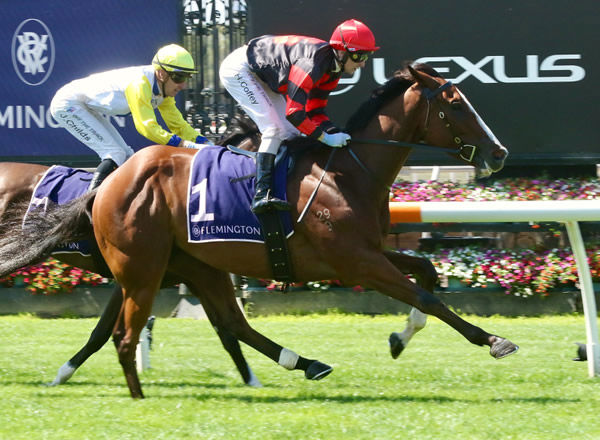 Dunkel makes it look easy as he strides to victory at Flemington Photo Credit: Darryl Sherer