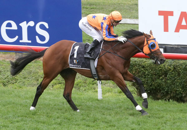 Dynastic has the situation under control as he takes out the Listed El Roca-Sir Colin Meads Trophy (1200m) at Hastings Photo credit: Trish Dunell