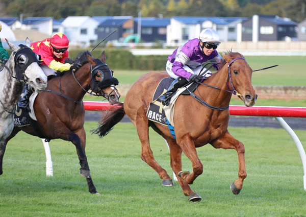 Ears Back winning the Gr.3 Hunterville Vet Club Metric Mile (1600m) at Trentham on Saturday.  Photo: Peter Rubery (Race Images Palmerstn North)