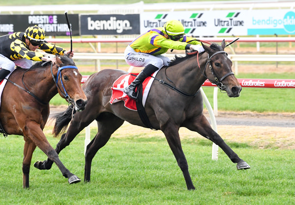 Eco Force wins at Bendigo - image Brett Holburt/ Racing Photos