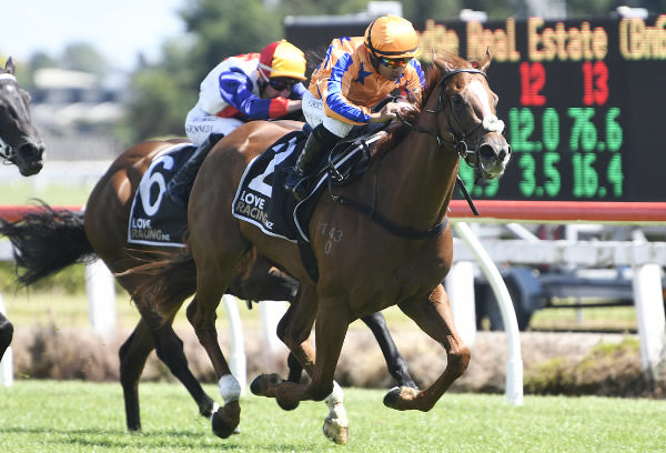 Egyptian Queen accelerating in the closing stages to win the Lodge Real Estate 1200 at Te Rapa.   Photo: Kenton Wright (Race Images)