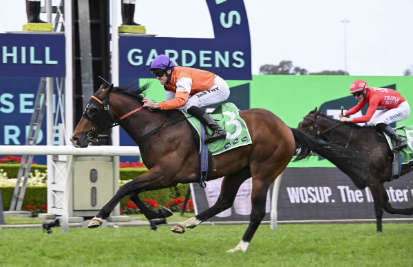 El Castello wins the G3 Gloaming Stakes - image Steve Hart