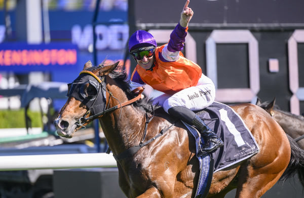 El Castello wins the G1 Spring Champion - image Steve Hart 