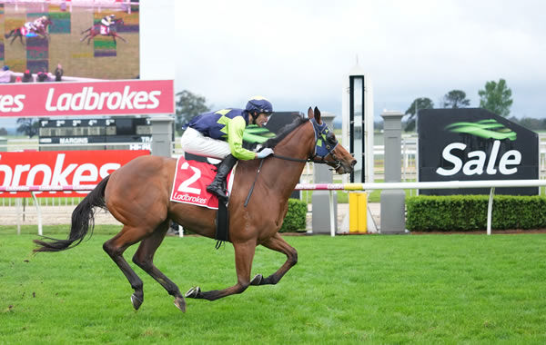 El Rocko scores a well deserved win in the Listed Sale Cup - image Scot Barbour / Racing Photos