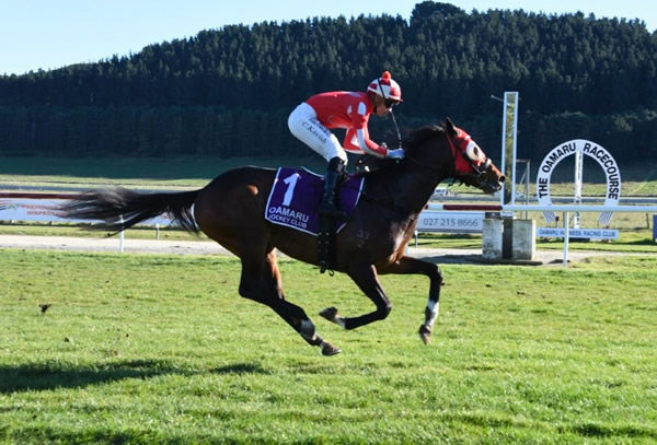 El Vaquero winning the One Smart Coffee (1200m) at Oamaru on Sunday.   Photo: Tayler Strong (Race Images) 