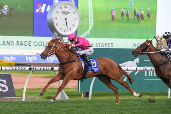 Electric Girl opens stakes account at Rosehill (image Steve Hart)