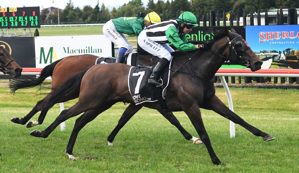 Elegant Jazz winning the Novara Park 1230 under Sam Spratt at Arawa Park on Wednesday.   Photo: Kenton Wright (Race Images) 