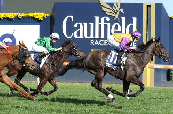 Damian Lane lets Elephant stride to the line for a comfortable victory at Caulfield Photo Credit: Bruno Cannatelli