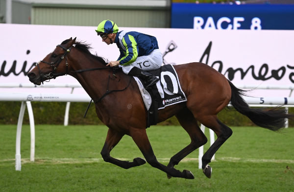 Eliyass (FR) wins the Listed Lord Mayor's Cup - image Steve Hart