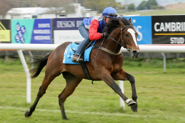 Debut winner Elleves was bought from the Inglis Ready2Race Sale where hr breezed in 10.38 seconds.