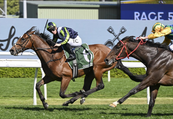 Elliyass (FR) wins the G3 Kingston Town Stakes - image Steve Hart