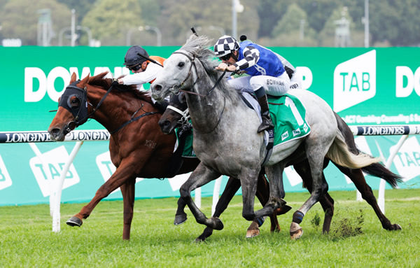 Ellsberg scored a memorable dead heat win in the G1 Epsom with Top Ranked (IRE). 