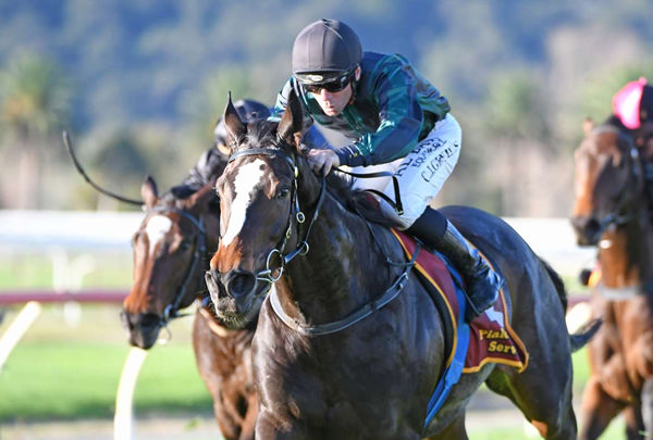 Eloise will contest the R.E.C Andrew Skinner Handicap (1600m) at Avondale on Wednesday.  Photo: Kenton Wright (Race Images) 