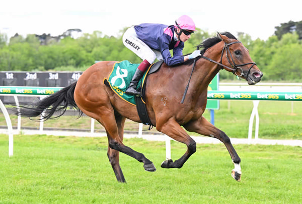 Elonia wis sby daylight at Kyneton - image Pat Scala / Racing Photos
