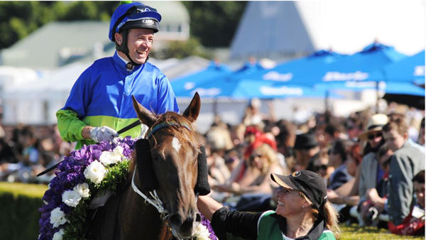 Eloping won seven races and $1.2million in prizemoney.