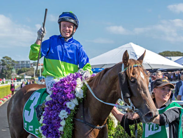 Eloping a top-class racemare and Group 1 winning producer (image Mark Smith)