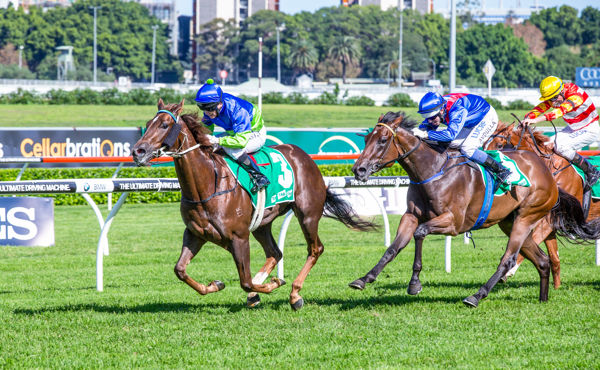 No catching Eloping in the Royal Randwick Stakes (image Mark Smith)