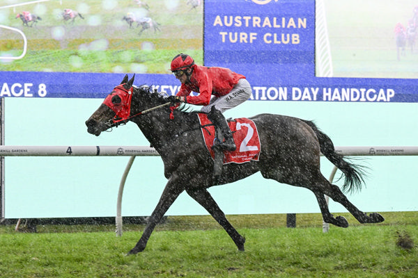 Elson Boy toughs it out in testing conditions to win at Rosehill - Image Bradley Photos