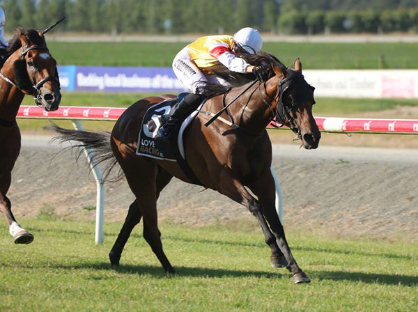 Well-related mare Emanon scored victory in the Kurow Cup (1400m) on Saturday.  Photo: Race Images South