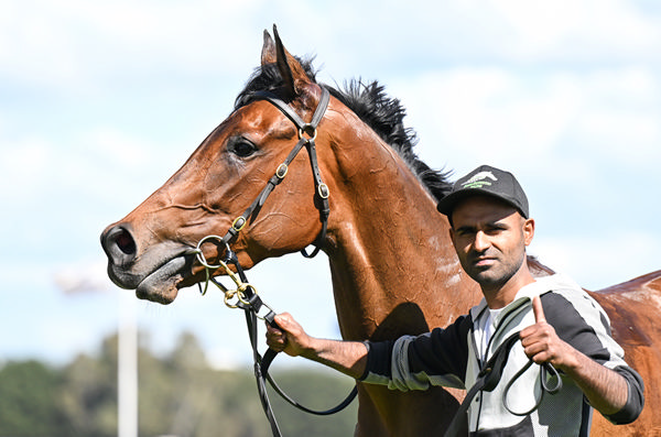 Enamorada has plenty of upside - image Racing Photos