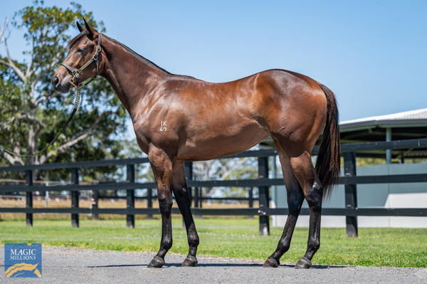 Enamorada was a $270,000 Magic Millions purchase.