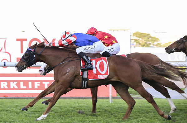 Encap wins the G3 Theo Marks Stakes - image Steve Hart