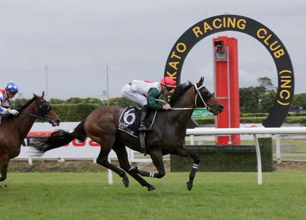 Encierro was a comfortable winner of the Nationwide Livestock Mile (1600m) at Te Rapa on Saturday Photo: Trish Dunell