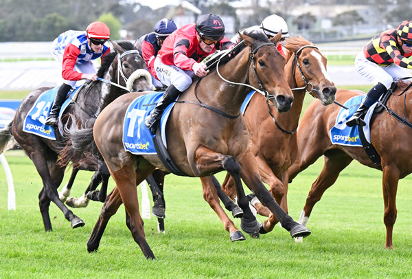 Engine Of War ridden by Mark Zahra wins at Sandown Hillside. Photo: Pat Scala/Racing Photos.