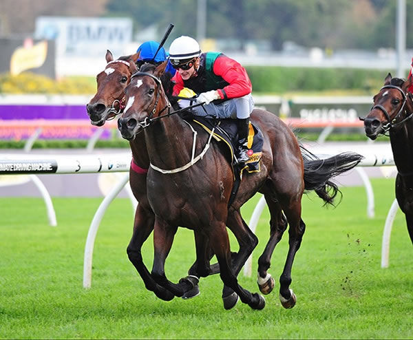 English won the G1 All Aged Stakes as a 3YO Filly! - image Steve Hart