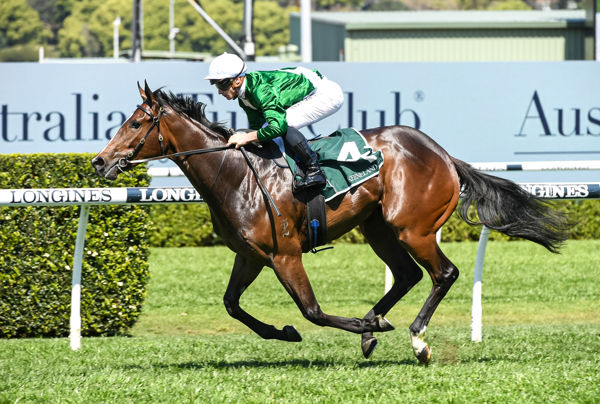 Enthaar looked the goods when winning the G3 Gimcrack Stakes - image Steve Hart.