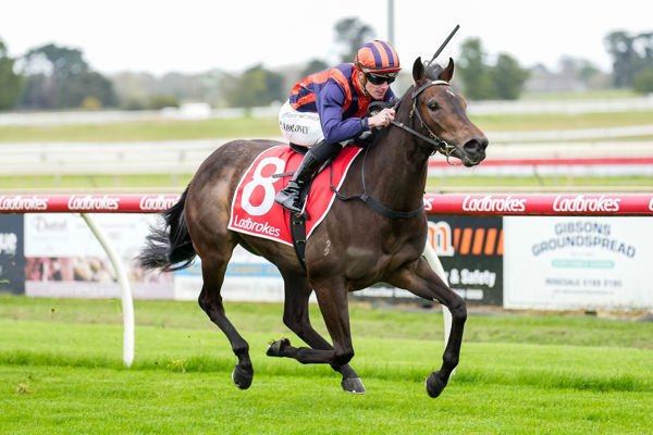 Entremet wins with ears pricked (image Scott Barbour/Racing Photos)