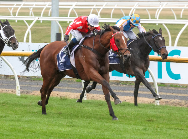 Epee Beel winning the Listed NZB Insurance Stakes (1400m) at Riccarton last Saturday.   Photo: Race Images South