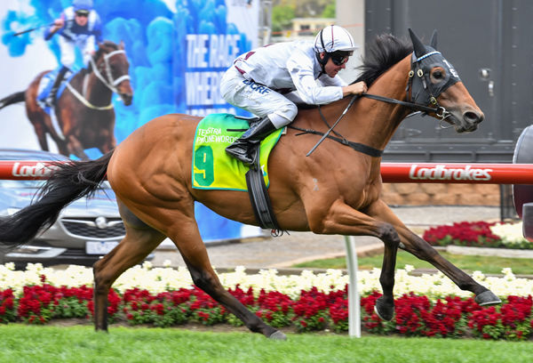 Eptimum winning the Gr.3 Red Anchor Stakes (1200m) at Moonee Valley in 2017. Photo: Mike Keating (Racing Photos)
