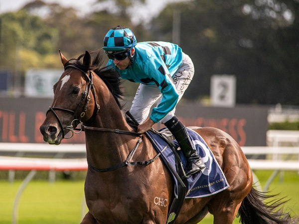 Equation topped the Inglis digital February  (early) Sale