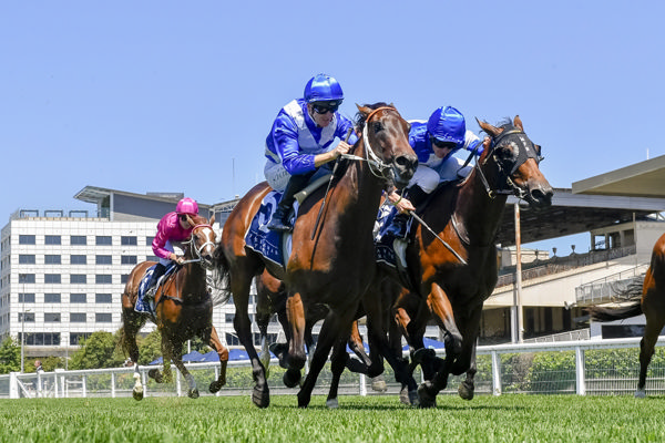 Lucia Valentina's little girl Erin Jo carries the John Singleton colours to victory - image Bradley Photos