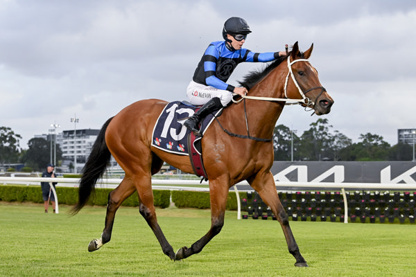 Ernaux is a winner! - image Bradley Photos