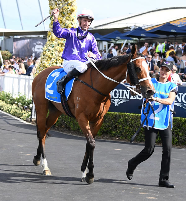 Espiona is another syndicator owned horse to run in the Everest - image Steve Hart